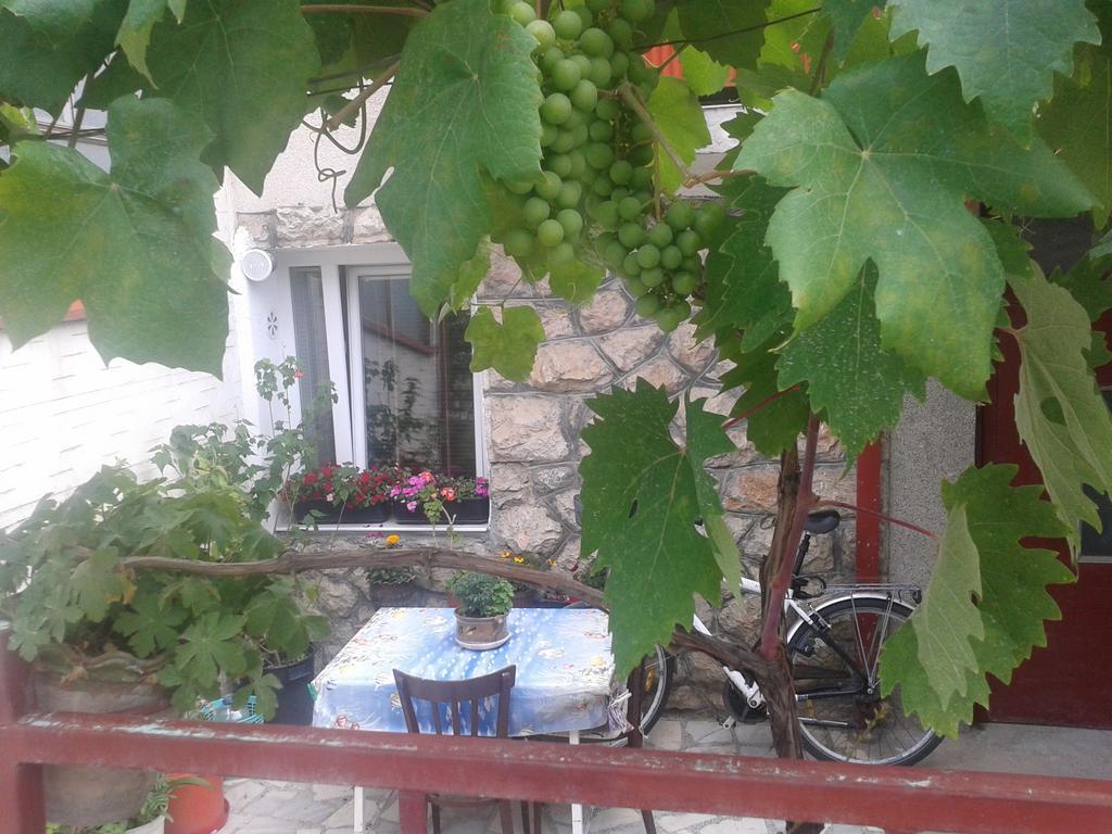 House Nativa Hotel Ohrid Bagian luar foto